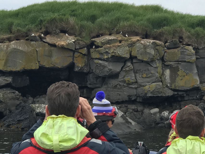 Reykjavík: RIB Speed-Boat Puffin Watching Tour - Who should book this puffin outing?