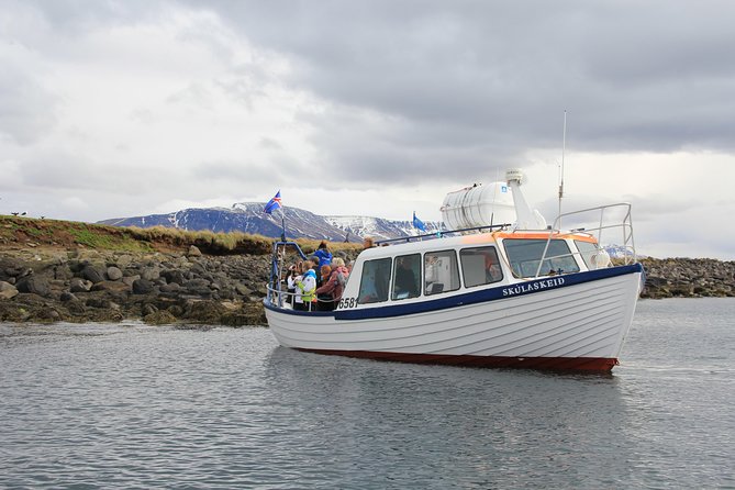 Reykjavik Shore Excursion: Puffin Sightseeing Cruise - Leaving Skarfabakki Harbour
