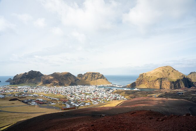 Reykjavík: Westman Islands, Volcanoes and Puffins Minibus Tour - Lunch, Skansinn, and a small piece of town history