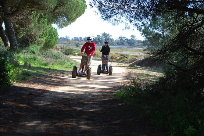 Ria Formosa Natural Park Birdwatching Segway Tour from Faro - Why Ria Formosa works so well from a Segway