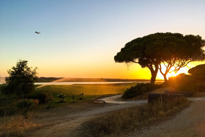Ria Formosa Natural Park Birdwatching Segway Tour from Faro - Quinta do Lago adds an unexpected second act