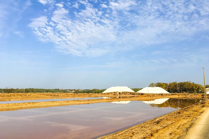 Ria Formosa Natural Park Birdwatching Segway Tour from Faro - The guides make the difference