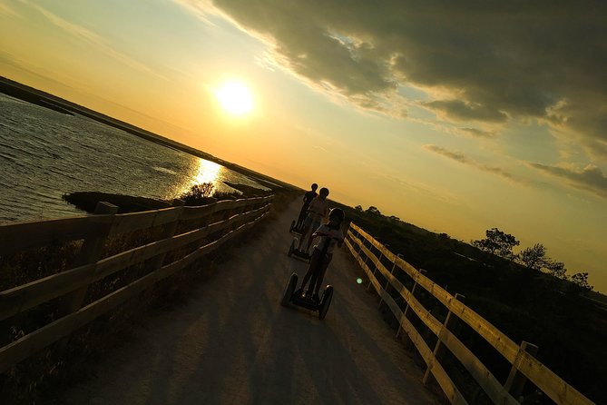 Ria Formosa Natural Park Birdwatching Segway Tour from Faro - Price, timing, and what you receive