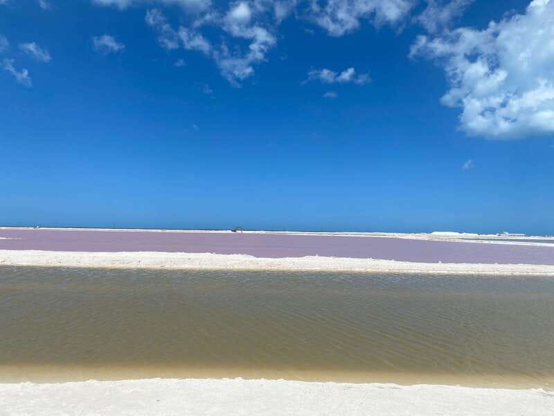 Rio Lagartos and Las Coloradas: EcoSafari Flamingo classic - Through the mangrove channels