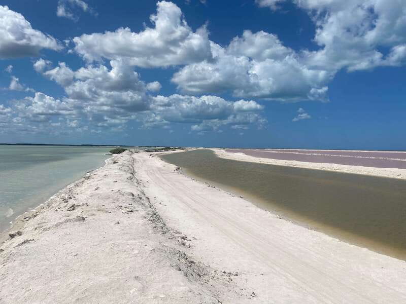 Rio Lagartos and Las Coloradas: EcoSafari Flamingo classic - Meeting Captain Brandon at Macumba restaurant