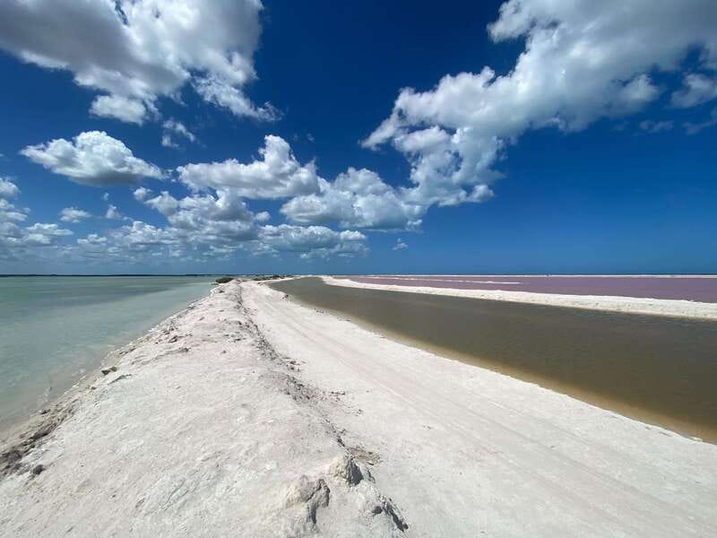 Rio Lagartos and Las Coloradas: Safari Flamingo Luxury - What the 2,300 MXN group price really covers
