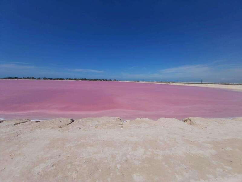 Rio Lagartos and Las Coloradas: Safari Flamingo Luxury - A private boat is the real luxury