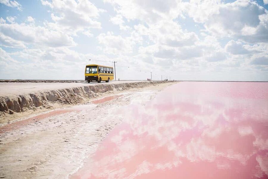 Rio Lagartos and Las Coloradas: Safari Flamingo Luxury - A final swim on the Gulf coast