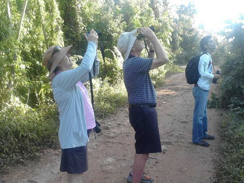 Riviera Maya: Puerto Morelos 4-Hour Bird Watching Tour - The birds you might see