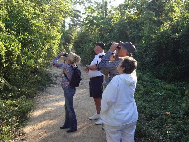 Riviera Maya: Puerto Morelos 4-Hour Bird Watching Tour - What to wear and carry