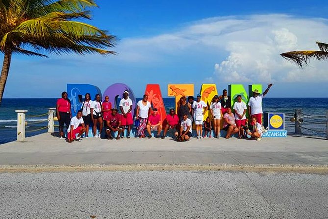 Roatan Private Sloths, Monkeys, Birds Encounters, City Tour and Transfer - Sloths, monkeys, and birds: what you may actually do