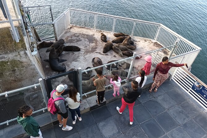 Robben Island Cape Of Good Hope Penguins Including Ferry Ticket - Cape Point, the lighthouse, and the Flying Dutchman