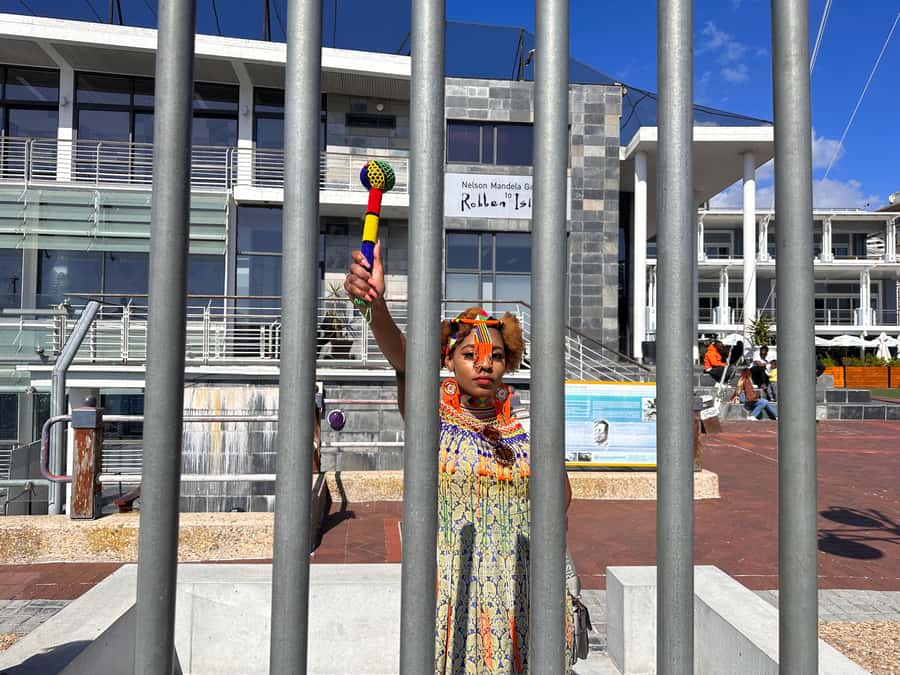 Robben Island Tickets, Penguins, and Private Cape Point Tour - Cape of Good Hope and Cape Point