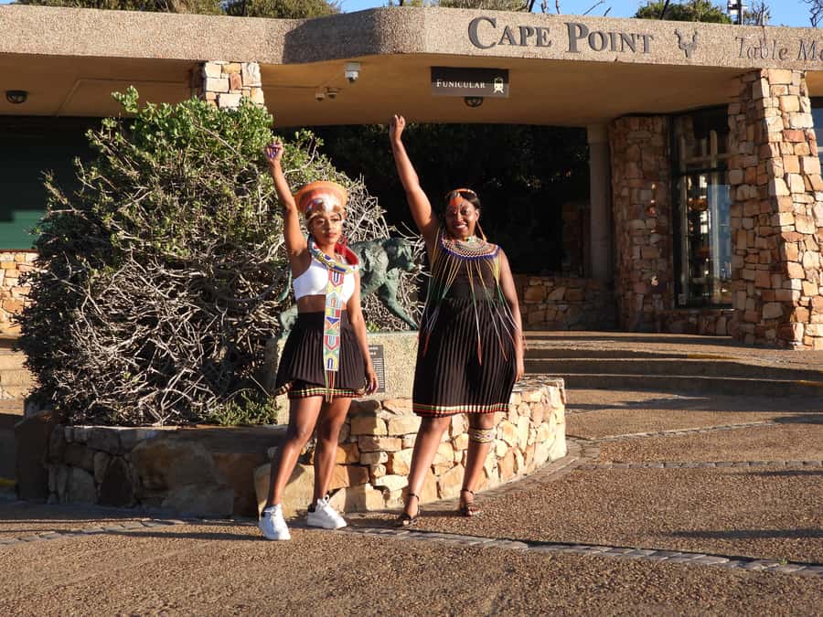 Robben Island Tickets, Penguins, and Private Cape Point Tour - The value of a private guide and vehicle