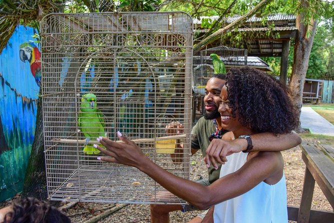 Rockland Bird Sanctuary plus Montego Bay Highlights & Shopping Private Tour - Key details before you book