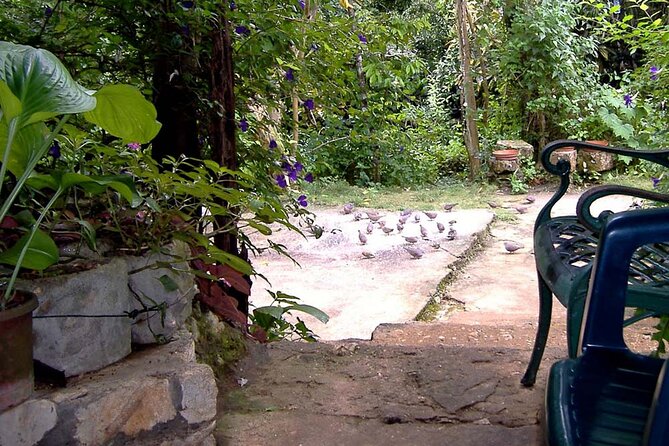 Rockland Bird Sanctuary plus Montego Bay Highlights & Shopping Private Tour - Timing, pace, and who will enjoy it most