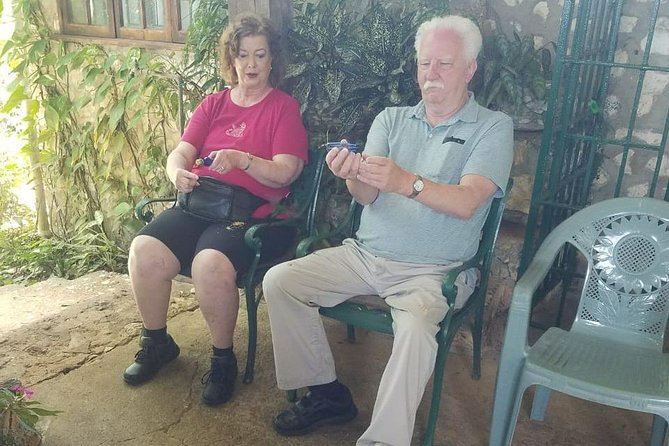 Rockland Bird Sanctuary Private Tour - A hummingbird encounter you will remember