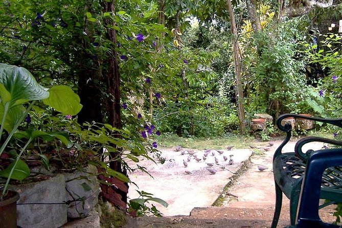 Rockland Bird Sanctuary Private Tour - Two hours at a small sanctuary