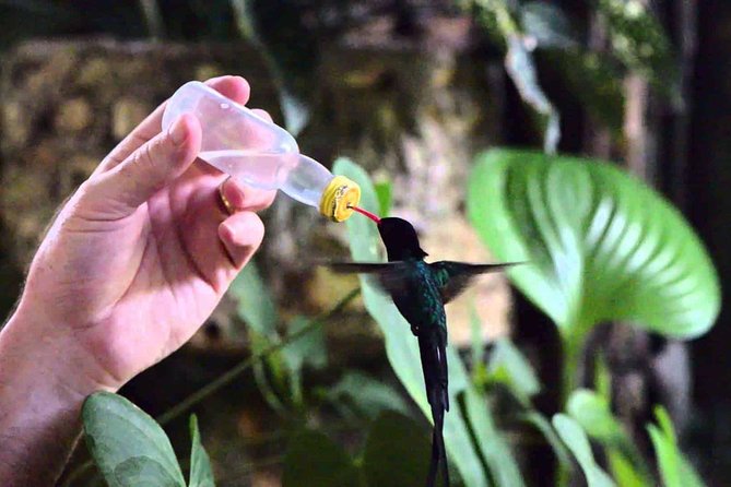 Rockland Bird Sanctuary Private Tour - The small details that improve the visit