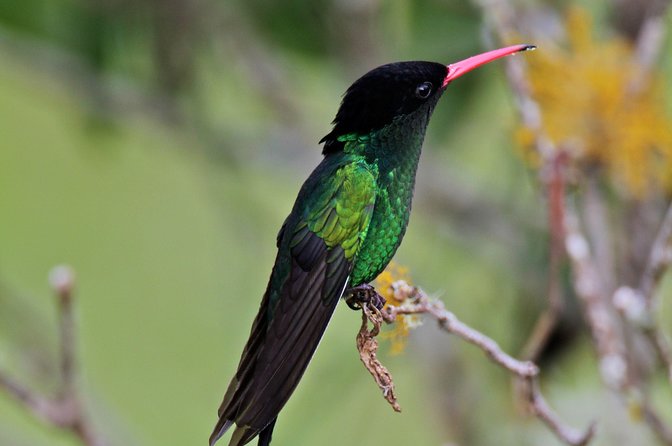 Rockland Bird Sanctuary Private Tour - Who will enjoy Rockland Bird Sanctuary most