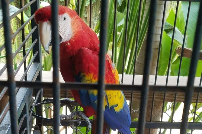 Rockland Bird Sanctuary Private Tour - Should you book this private bird tour?