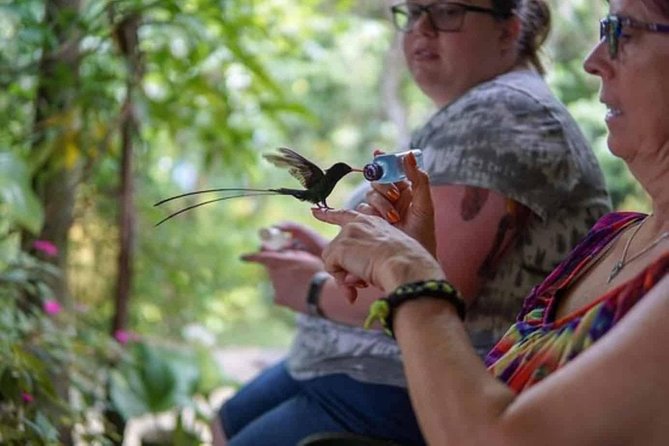 Rockland Bird Sanctuary Private Tour - What makes the guided walk worth your time