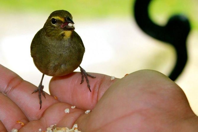 Rockland Bird Sanctuary Tour [Transportation] Hotel Pick-Up - A small sanctuary with a very personal bird encounter