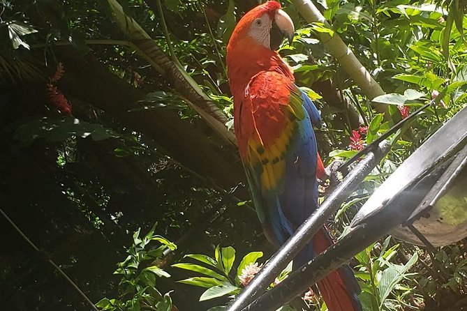 Rockland Bird Sanctuary Tour [Transportation] Hotel Pick-Up - What you may see at Rockland
