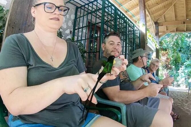 Rockland's Bird Sanctuary Tour from Montego Bay/ Falmouth - The short forest walk adds useful context