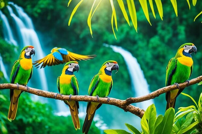 Rockland's Bird Sanctuary Tour from Montego Bay/ Falmouth - Who will enjoy this bird encounter most