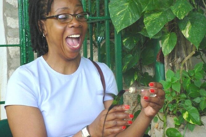 Rocklands Bird Sanctuary and Montego Bay Highlights Tour from Falmouth - What the $145 price covers