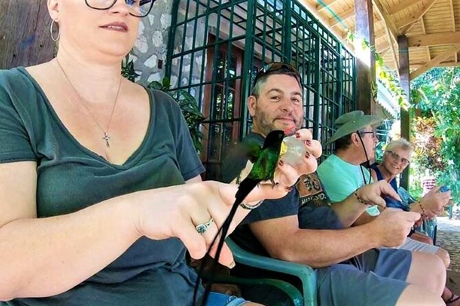 Rocklands Bird Sanctuary and Montego Bay Highlights Tour from Falmouth - How the guide affects the experience