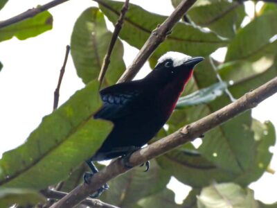 Salento: hike to learn about Birds