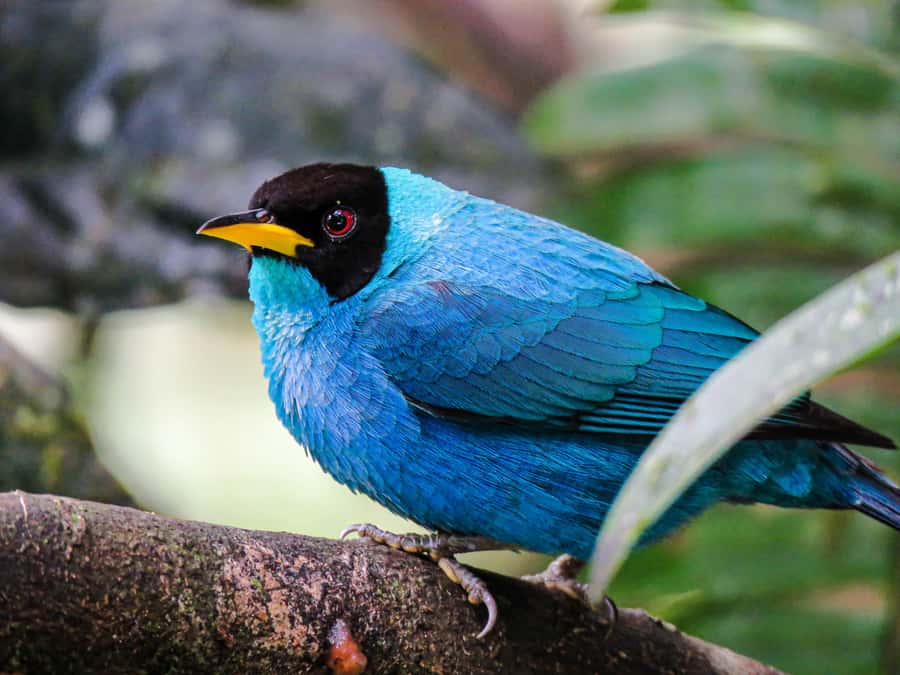 Salento: hike to learn about Birds - What Jorge adds to the experience