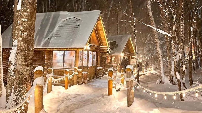 Sapporo Winter : Asahiyama Zoo (Penguin Fun & Snowmobile) - Asahiyama Zoo and the winter penguin walk