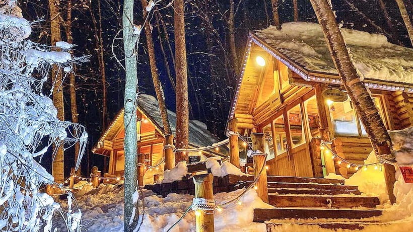 Sapporo Winter : Asahiyama Zoo (Penguin Fun & Snowmobile) - The heated bus matters more than it sounds