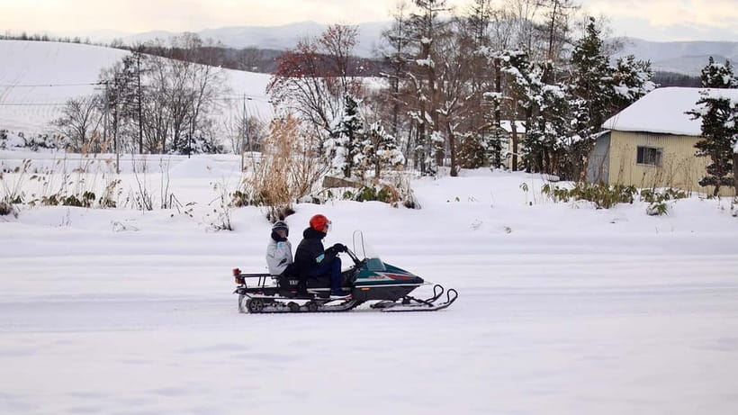 Sapporo Winter : Asahiyama Zoo (Penguin Fun & Snowmobile) - Practical ways to make the day better