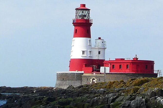 Seabird & Seal Farne Islands Cruise. 1.5 hours long. Departing from Seahouses. - Who will enjoy this cruise most