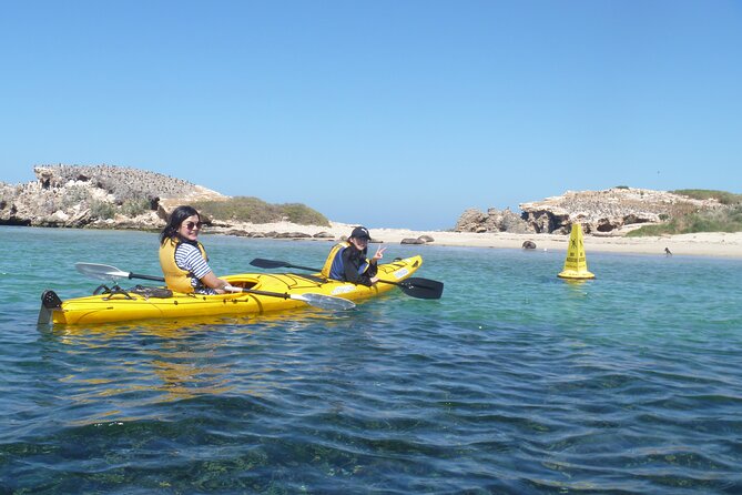 Seal Island and Penguin Island or Point Peron Sea Kayak Tour - The longer paddle to Penguin Island