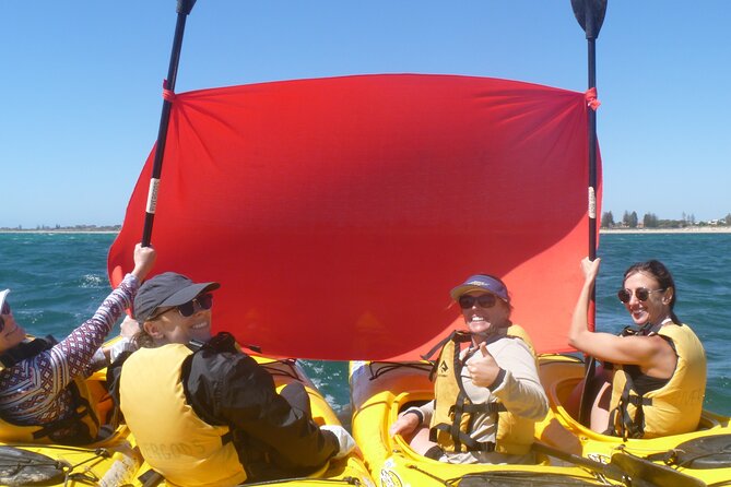 Seal Island and Penguin Island or Point Peron Sea Kayak Tour - Seal Island and the search for sea lions