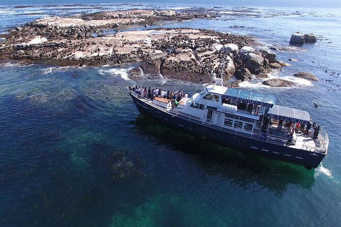 Seal Island,Cape of Good Hope&Penguins Shared Tour,From Cape Town - Cape Point rewards you with time, views, and a choice