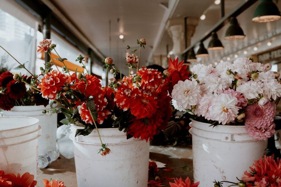 Seattle: Early-Bird Tasting Tour of Pike Place Market - Popular stalls, famous sights, and quieter corners