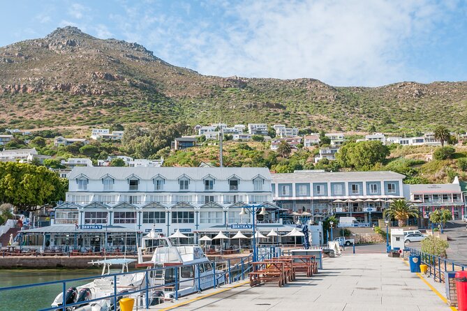 Shared Half Day Tour in Cape Peninsula with African Penguins - Boulders Beach brings you close to African penguins