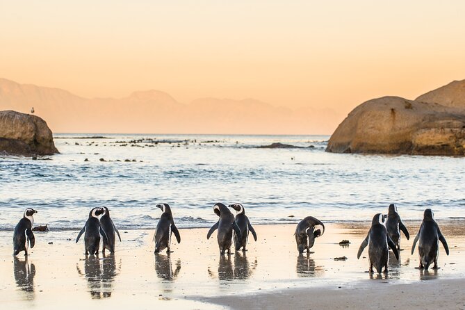 Shared Half Day Tour in Cape Peninsula with African Penguins - Muizenberg gives the return drive a colorful finish