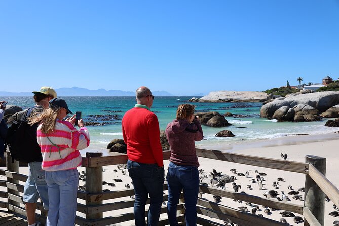 Shared Half Day Tour in Cape Peninsula with African Penguins - The route packs in a lot, so pacing matters
