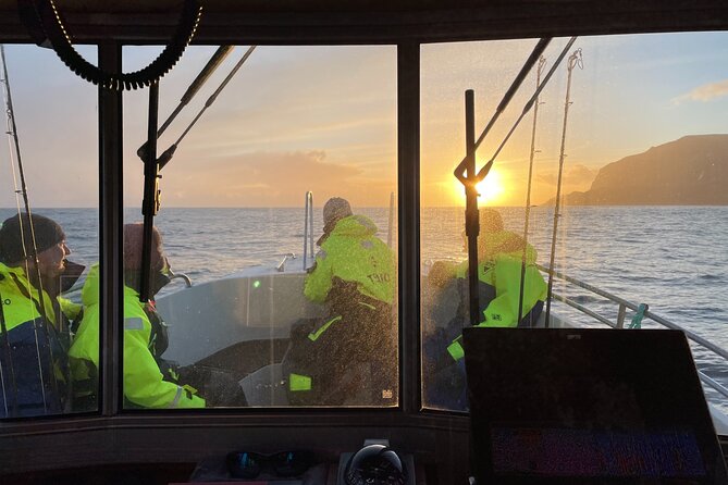 Sightseeing Around Nólsoy to see Puffins - Puffins, seals, and the chance of whales