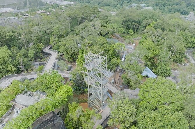 Singapore 3 Park Explorer Pass: Zoo, River Wonders, Bird Paradise - Bird Paradise: use the tram to save your legs
