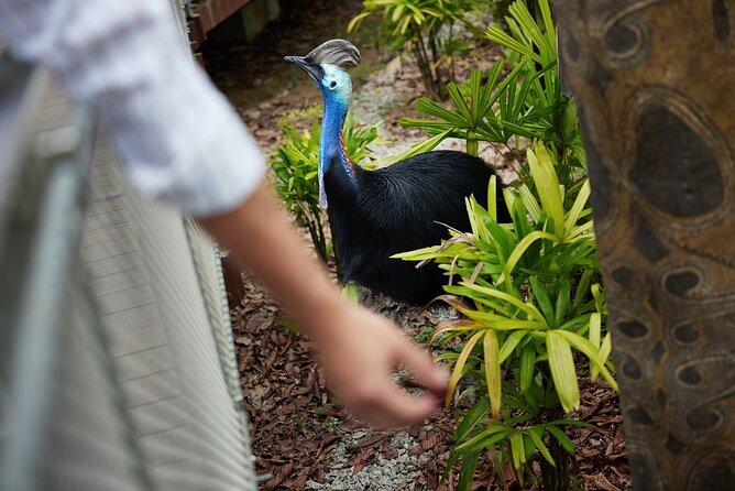 Singapore 3 Park Explorer Pass: Zoo, River Wonders, Bird Paradise - Rainforest Wild Asia: the alternative to the Zoo