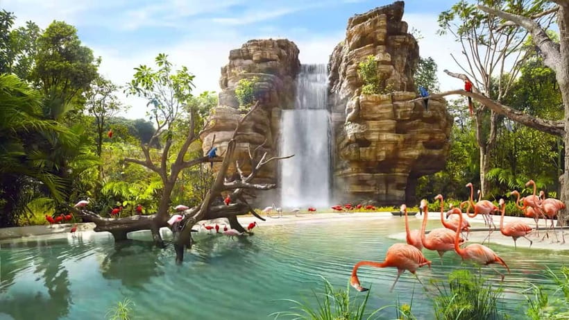 Singapore: Bird Paradise - Key points to know before you go