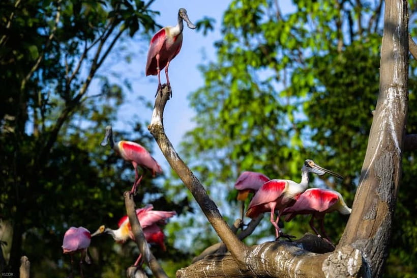 Singapore: Bird Paradise - A full day among 3,500 birds